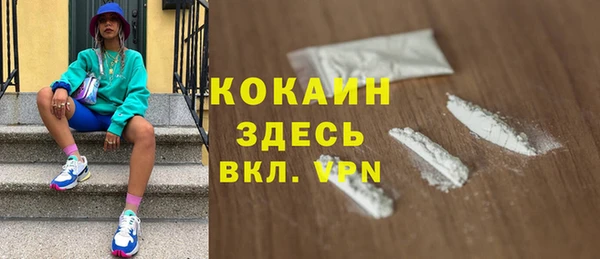 соль ск Алзамай