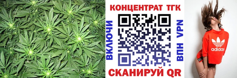 ТГК Wax  Чайковский 