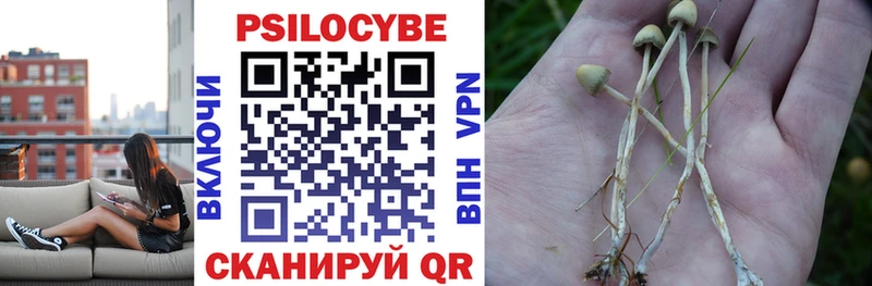 Галлюциногенные грибы ЛСД  Чайковский 